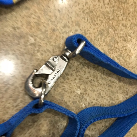 🐶 PET SUPPLIES - Dog Bundle - Collars, Leash, Scarf - Picture 2 of 10